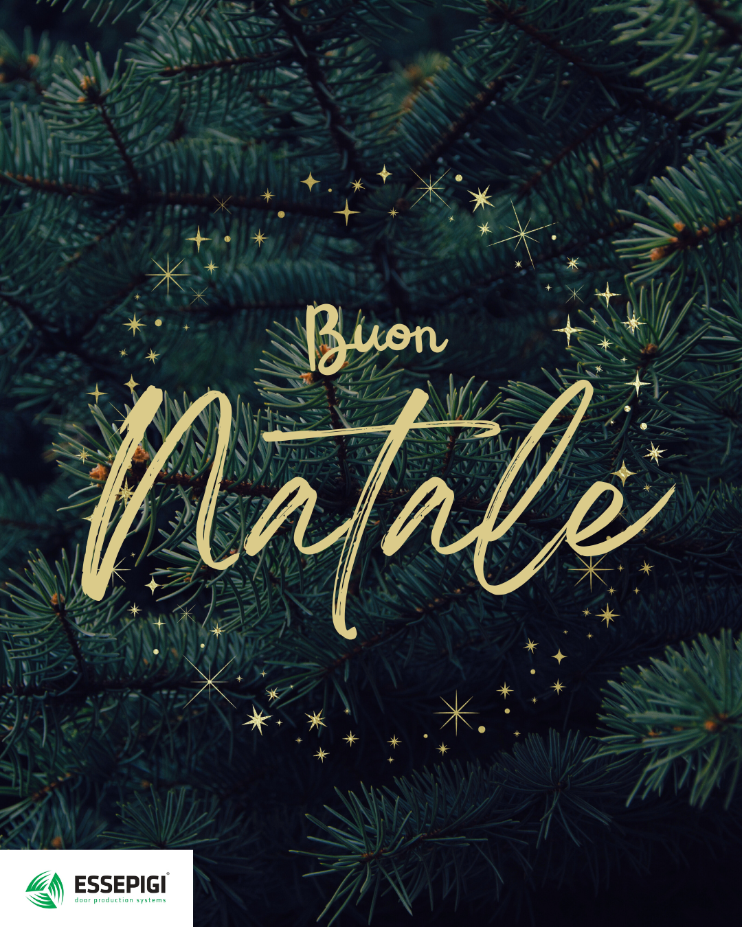 Buone feste!